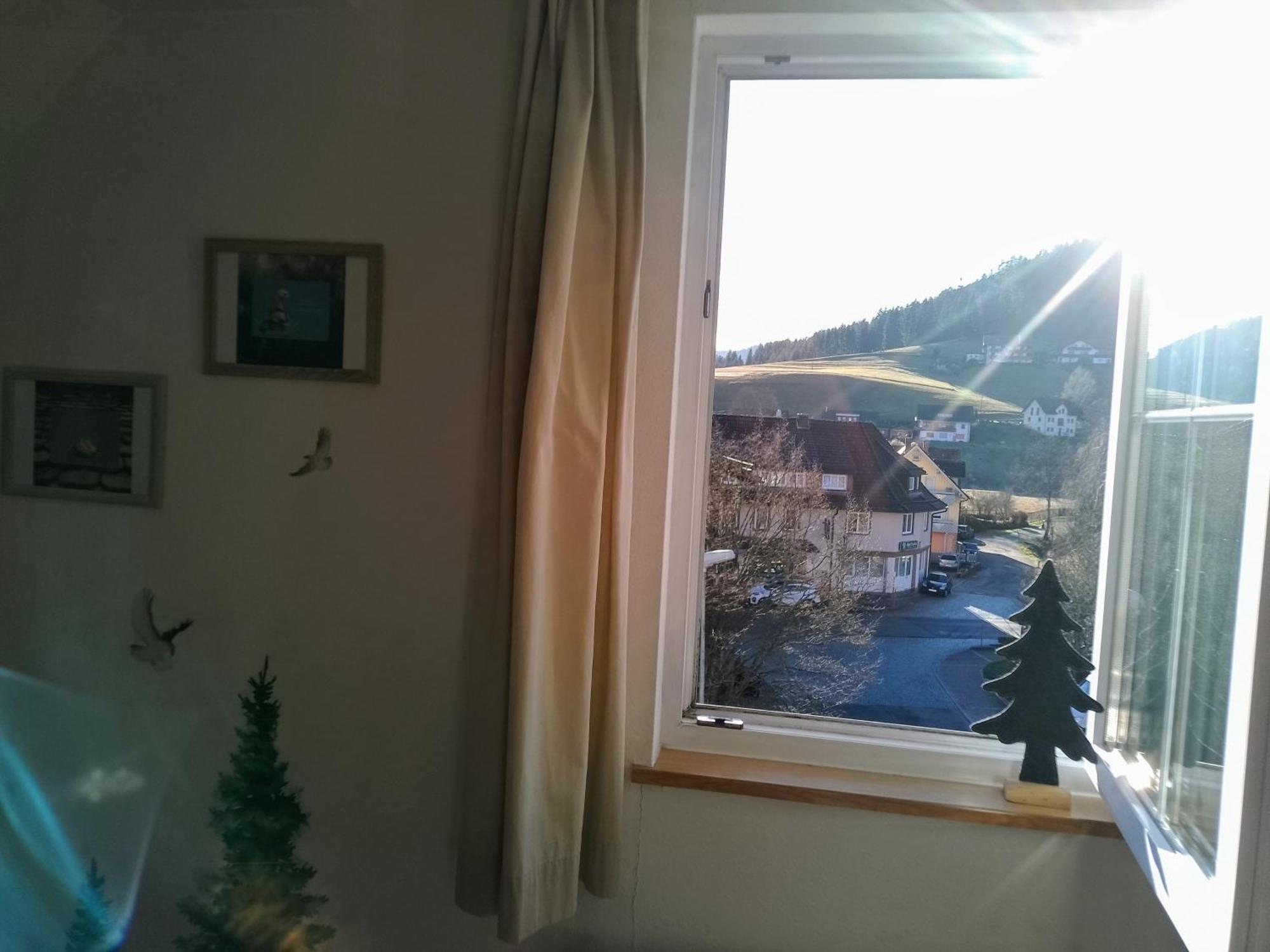 Apartment Waldrausch *